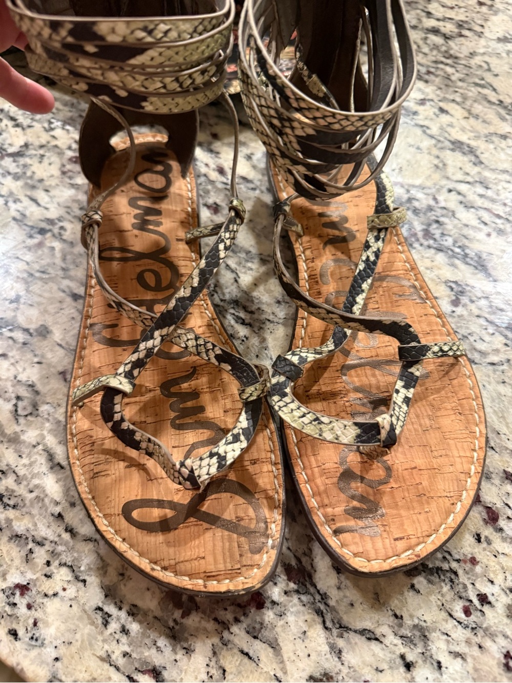 Sam Edelman Snake-Print Gladiator Sandals in Black and Cream